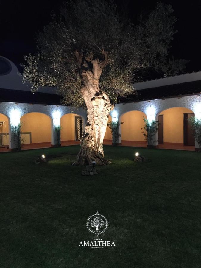 Tenuta Amalthea Villa Sessa Aurunca Exterior photo